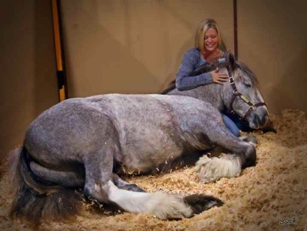 2011 Ohio Equine Affair, Courtesy Elizabeth Vieira